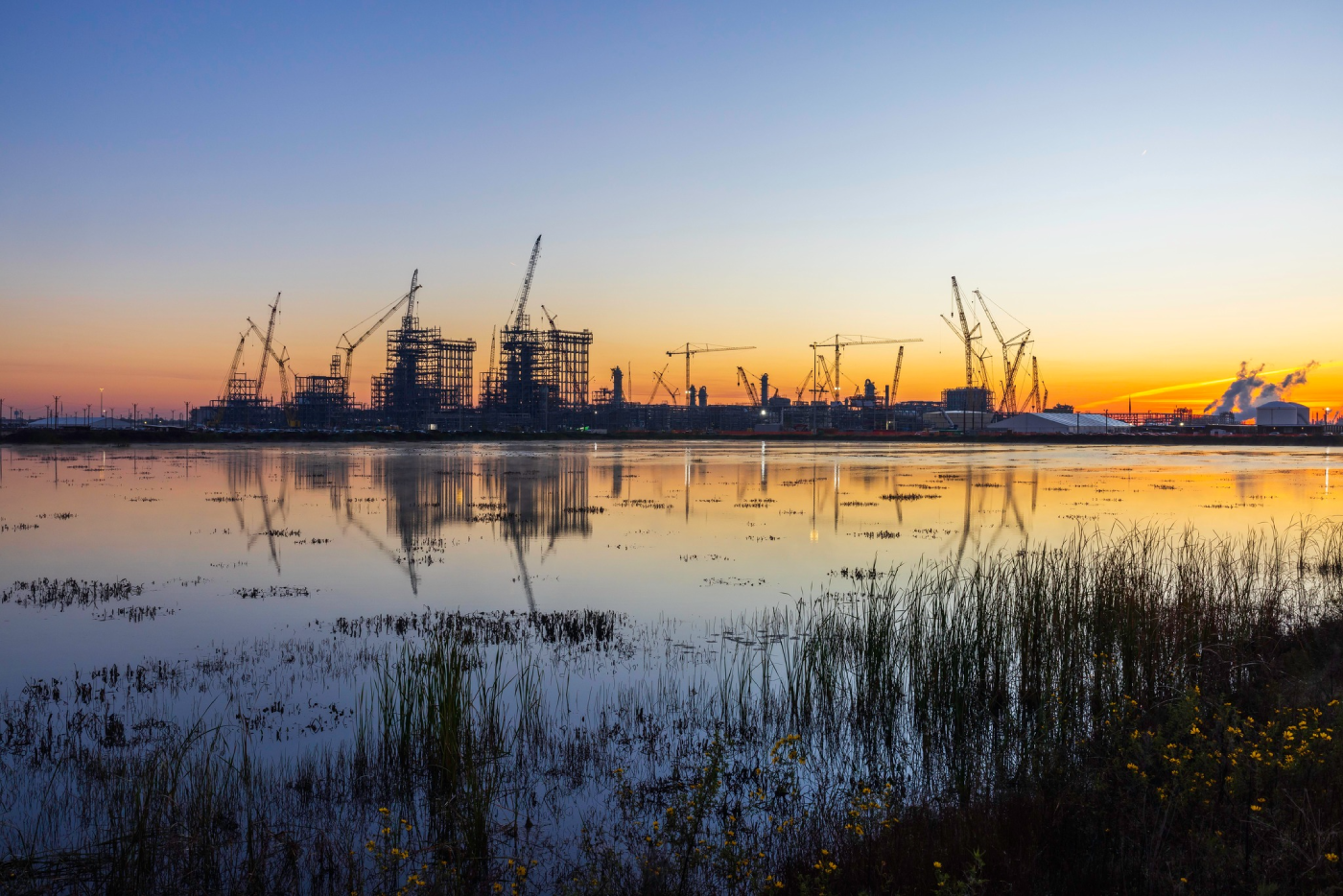 Integrated Polymers Facility Project